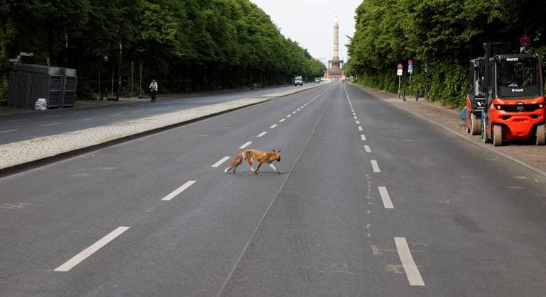 Berlin, Straße des 17. Juni closed for 3 months due to European Football Championship, construction of the fan mile