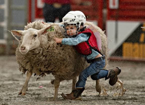 Canada, Cloverdale Rodeo and Country Fair in Surrey
