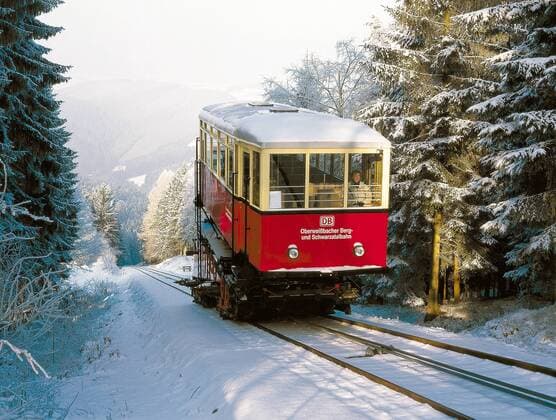 Schwarzatal railway to run on fuel from vegetable oils
