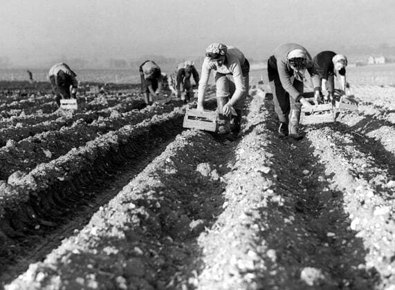 The greatest inventions: Farming