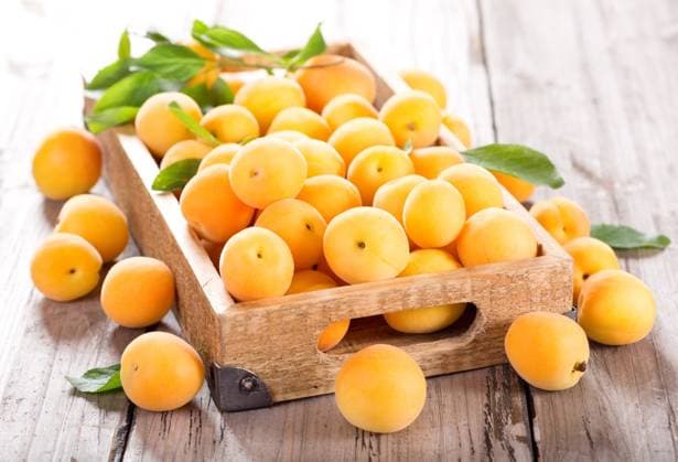 IMAGO Creative, summer, fruit, apricot