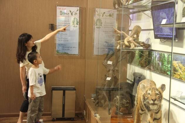Vietnam: Natural History Museum in Hanoi