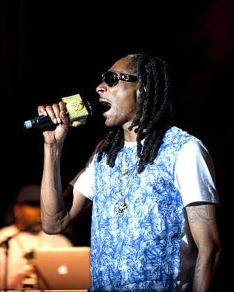 Kaaboo Music Festival - Snoop Dog Concert
