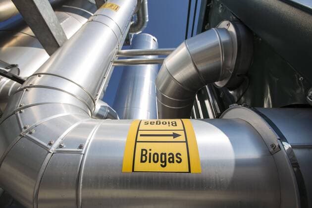 Gas crisis in Germany: Domestic alternatives: Biogas