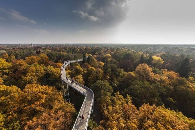IMAGO Creative, autumn, visit the treetop walk