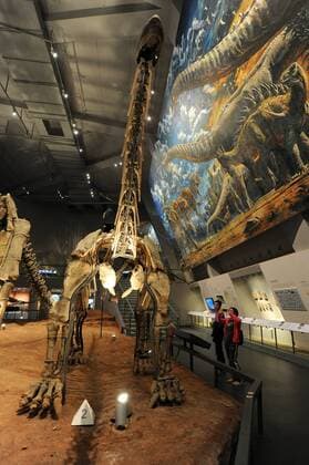 China: Natural History Museum in Chongqing