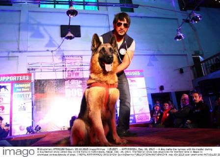 Nepal: Dog Fashion Show in Kathmandu