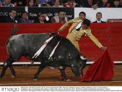 Bullfight in Mexico City