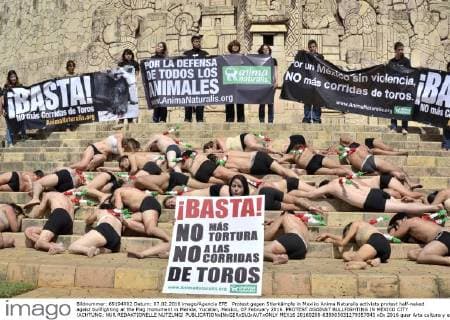 Protest against bullfights in Mexico