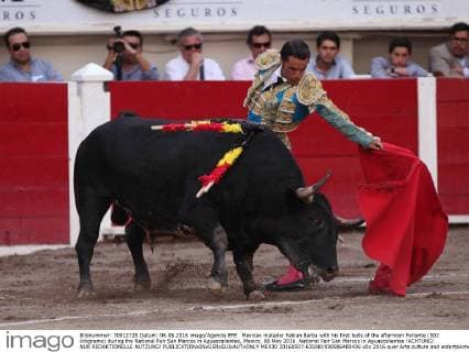 Bullfight in Aguascalientes for La Feria de San Marcos in Mexico