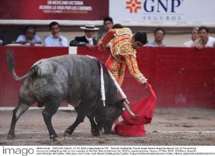 Bullfight in Aguascalientes for La Feria de San Marcos in Mexico