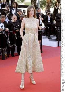 69th Festival de Cannes - The Last Face Premiere