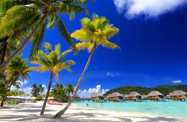 Calendar motifs: Dream islands