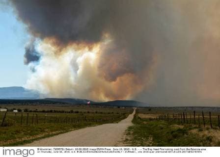 Forest Fire USA - Dog Head Fire in New Mexico