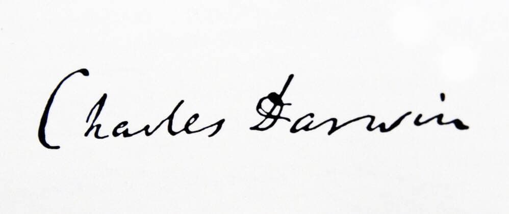 IMAGO ICONS: Charles Darwin