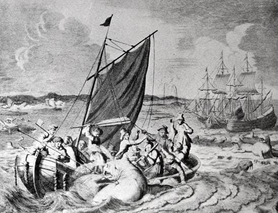 IMAGO International History, Arctic Expeditions, Willem Barents, Search for the Northeast Passage 1594-1597