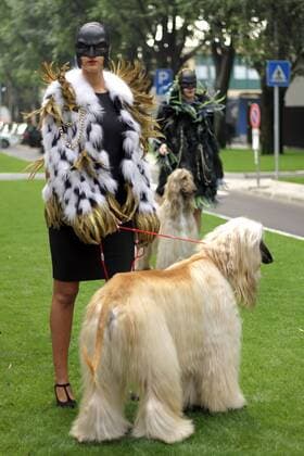 Milan Fashion Week - Armani Street Style at the edge of the Armani fashion show