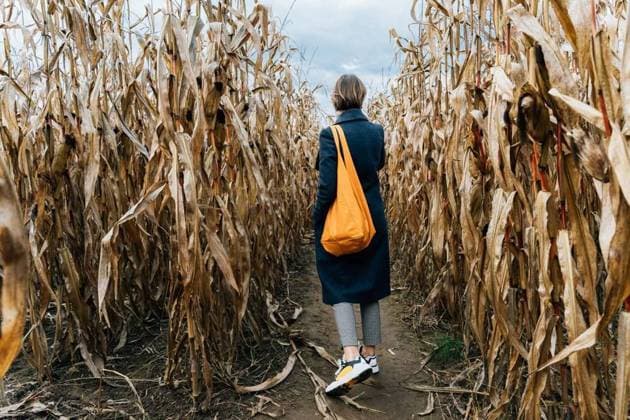IMAGO Creative,Autumn, visit labyrinth