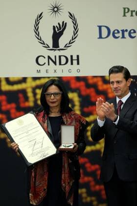 Rodolfo Stavenhagen posthumously honoured with human rights award