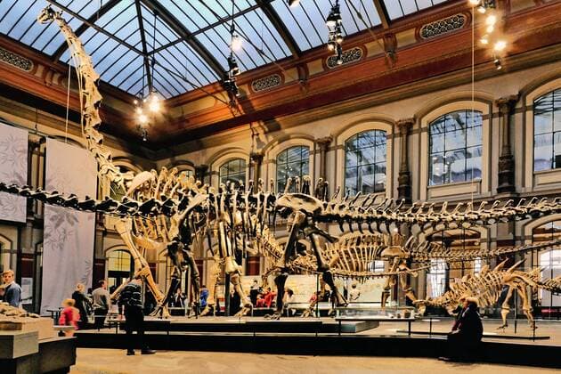 Museum of Natural History in Berlin