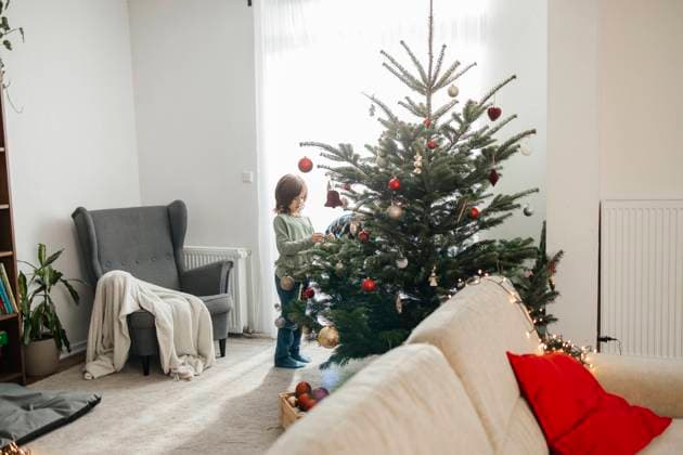 IMAGO Creative, Christmas, Tradition, Christmas tree