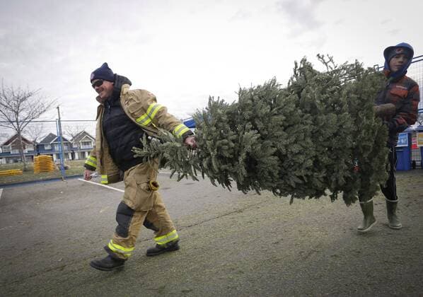 Christmas trees are disposed of - Richmond, Canada