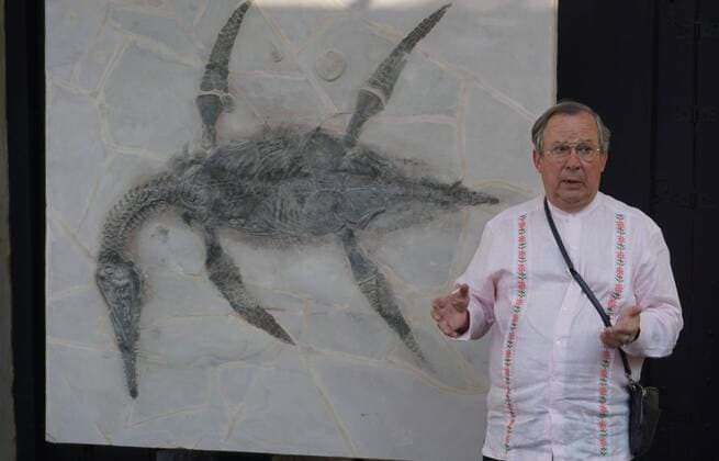 Plesiosaur discovered in Mexico