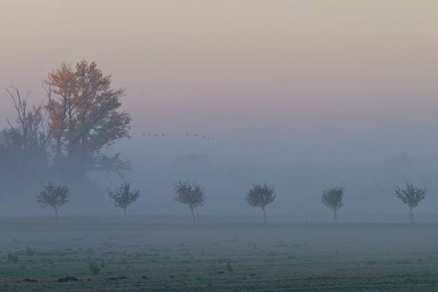 IMAGO Creative, Season autumn, Fog