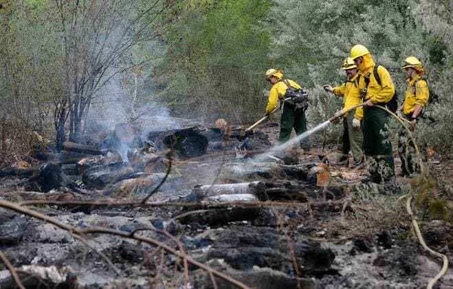 USA: Forest fires in New Mexico