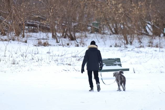 Canada, Winter weather in Montreal