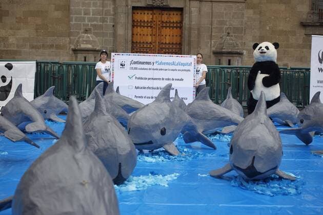 WWF Action for the Protection of the Seas in Mexico City