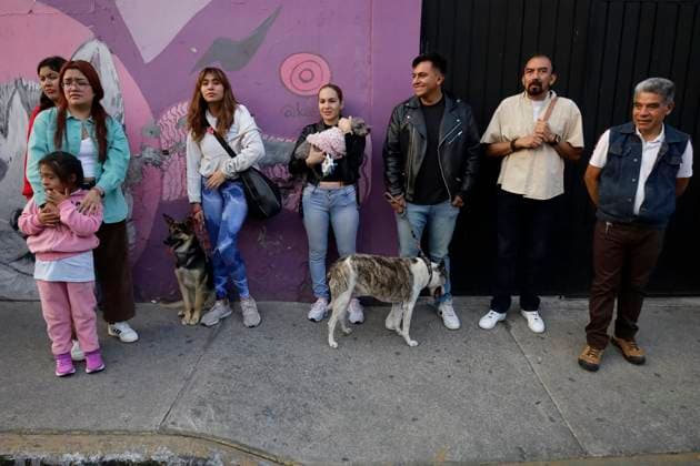 Mexico Traditional blessing of animals on St Anthonys Day in Mexico Ci