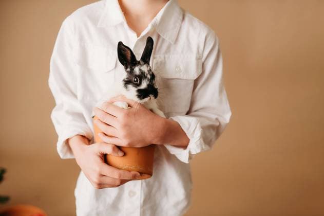 IMAGO Creative, Easter, customs, Easter lamb and Easter bunny