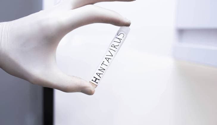 Hantavirus - symbol images