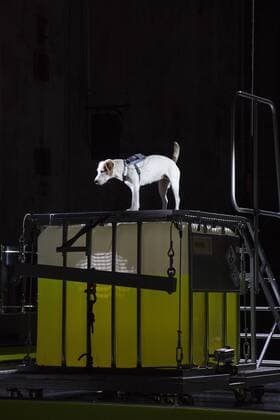Ruhrtriennale - World Premiere No Light