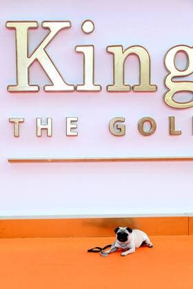 Film premiere Kingsmen - The Golden Circle in London