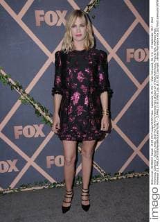 Fox Fall Party Premiere