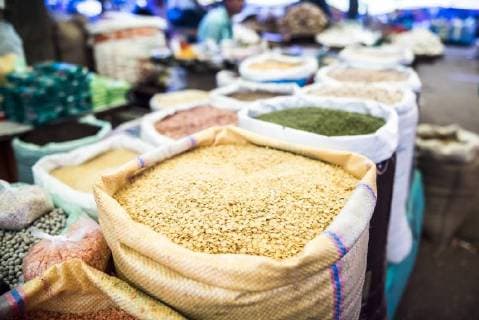 IMAGO Nature: Our Earth, environmental problems, nutrition, plants of the future, lentil
