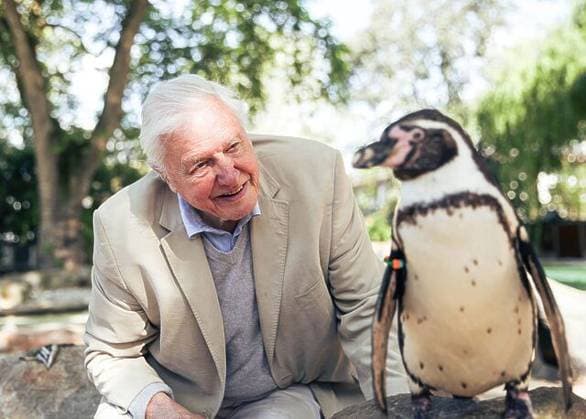 David Attenborough, 100th birthday on 8 May