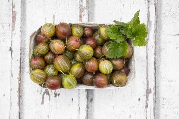 IMAGO Creative, season summer, food, gooseberries