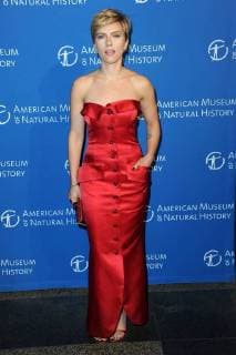 Gala at the Museum of Natural History in New York