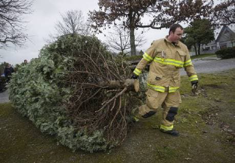 Canada: Annual Christmas tree chipping event in Richmond