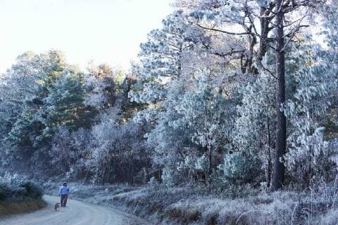 Winter sets in in Oaxaca, Mexico