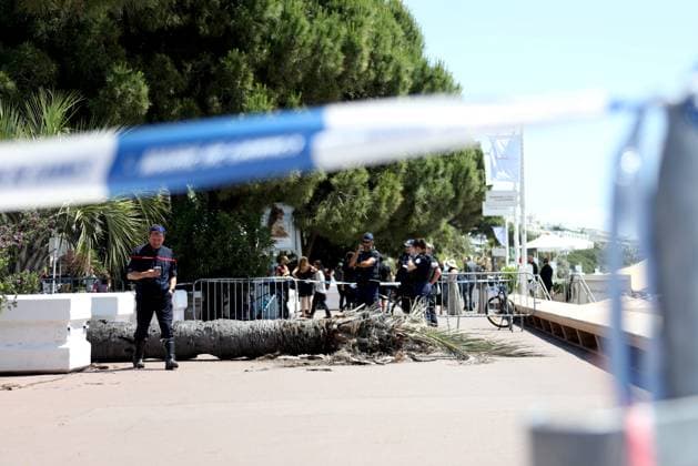 Cannes International Film Festival, man injured by fallen palm tree on Croisette