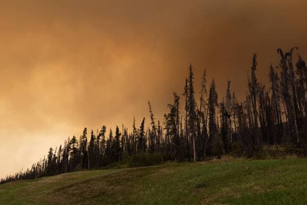 Canada, forest fires in British Columbia