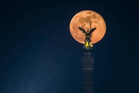 Pictures of the Year 2018, News 03 March