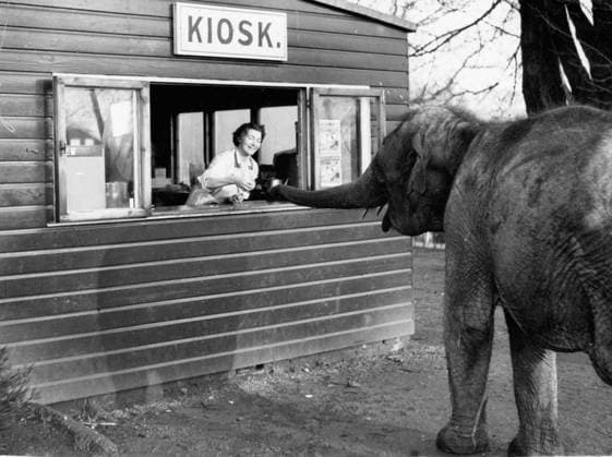 Archive pictures of the week KW26