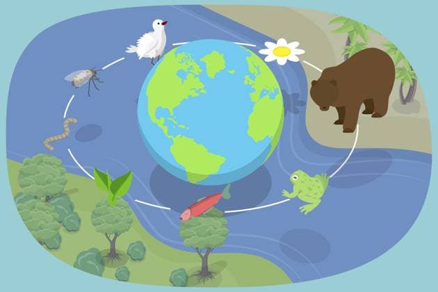 International Day for Biological Diversity on 22 May
