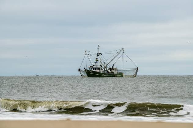 North Sea: Coastal fishermen apply for state support following the cessation of operations, archive images