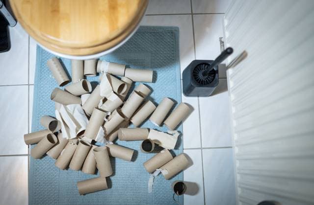 Outbreak of intestinal parasites in the US, stock images